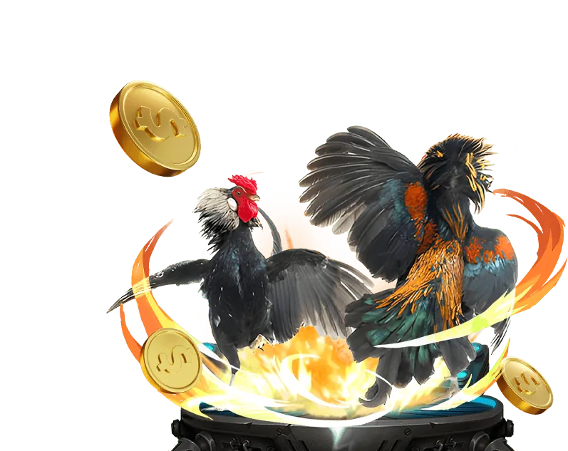 Đội ngũ hỗ trợ khách hàng chuyên nghiệp của vin55