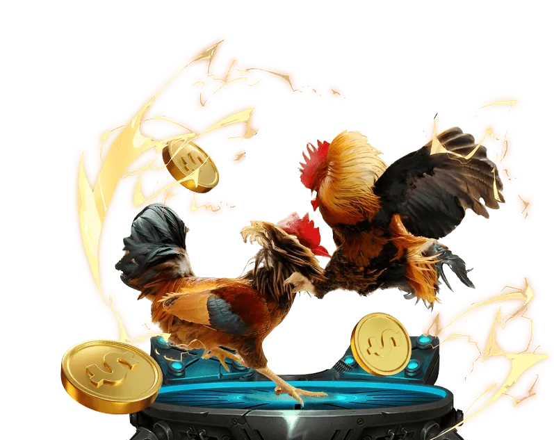 Giao diện cá cược đá gà trực tuyến vin55